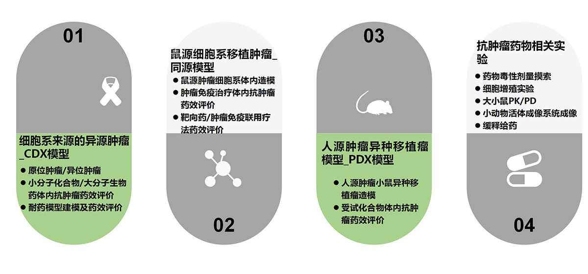藥效評(píng)價(jià)平臺(tái)(圖6)