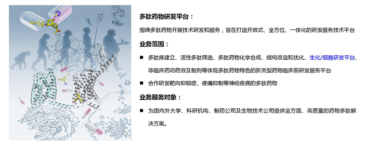 多肽藥物檢測平臺(圖2)