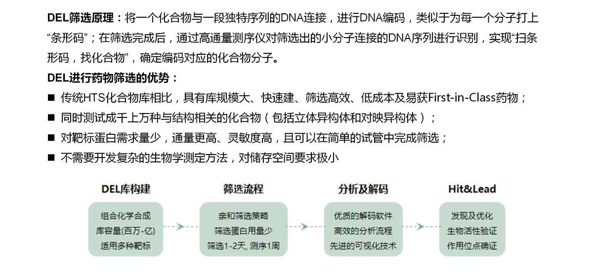 DEL高通量藥物篩選平臺(tái)(圖5)